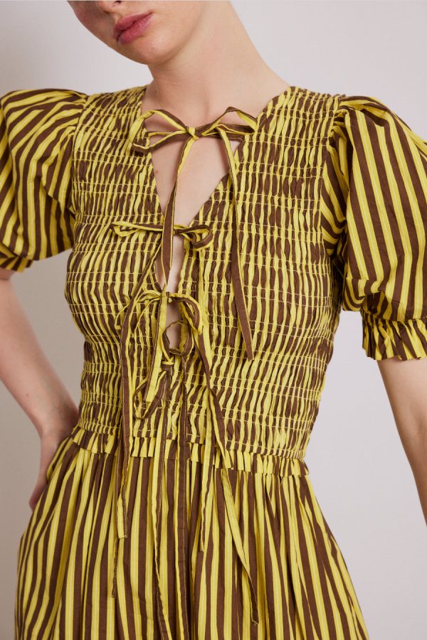 bluebelle midi dress - brown yellow stripe - Image 4