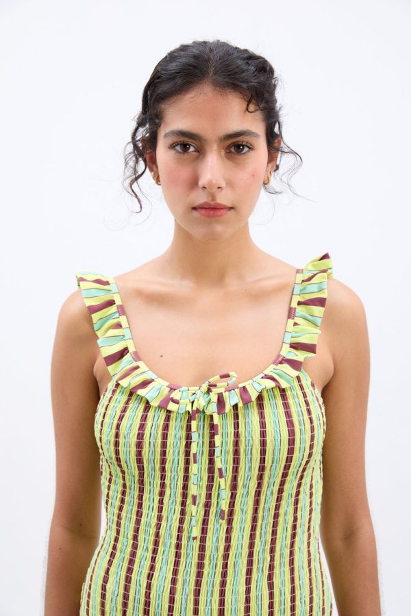 cheyenne swimsuit - tropical stripe - Image 5